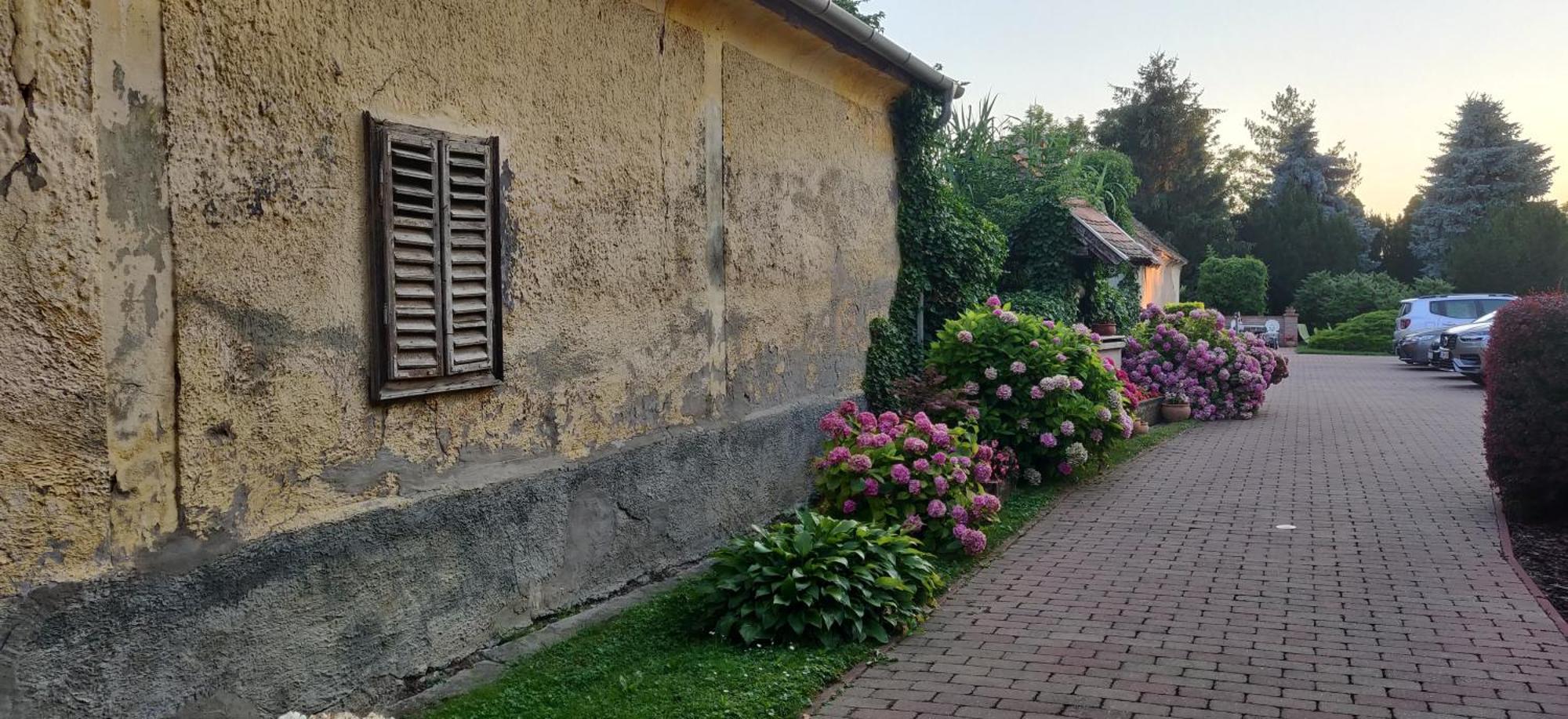 Korona Étterem Panzió Panzió Balatonberény Kültér fotó