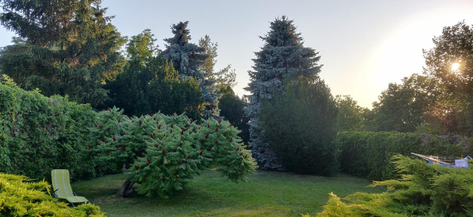 Korona Étterem Panzió Panzió Balatonberény Kültér fotó
