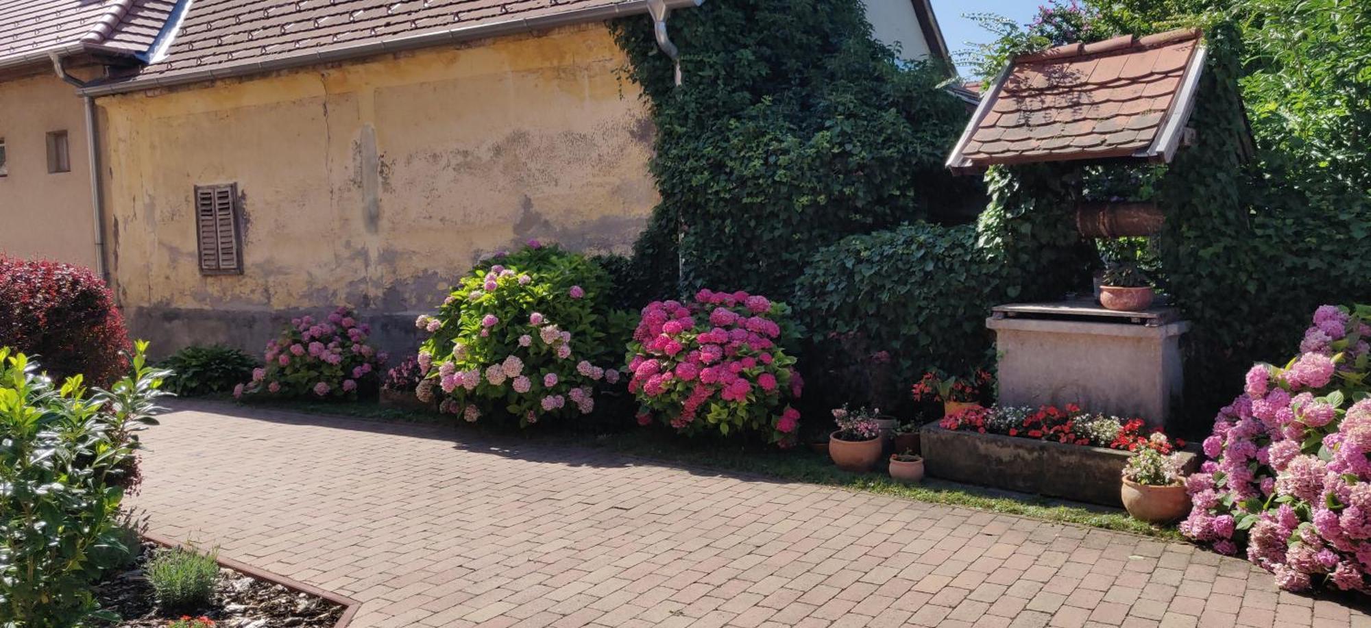 Korona Étterem Panzió Panzió Balatonberény Kültér fotó