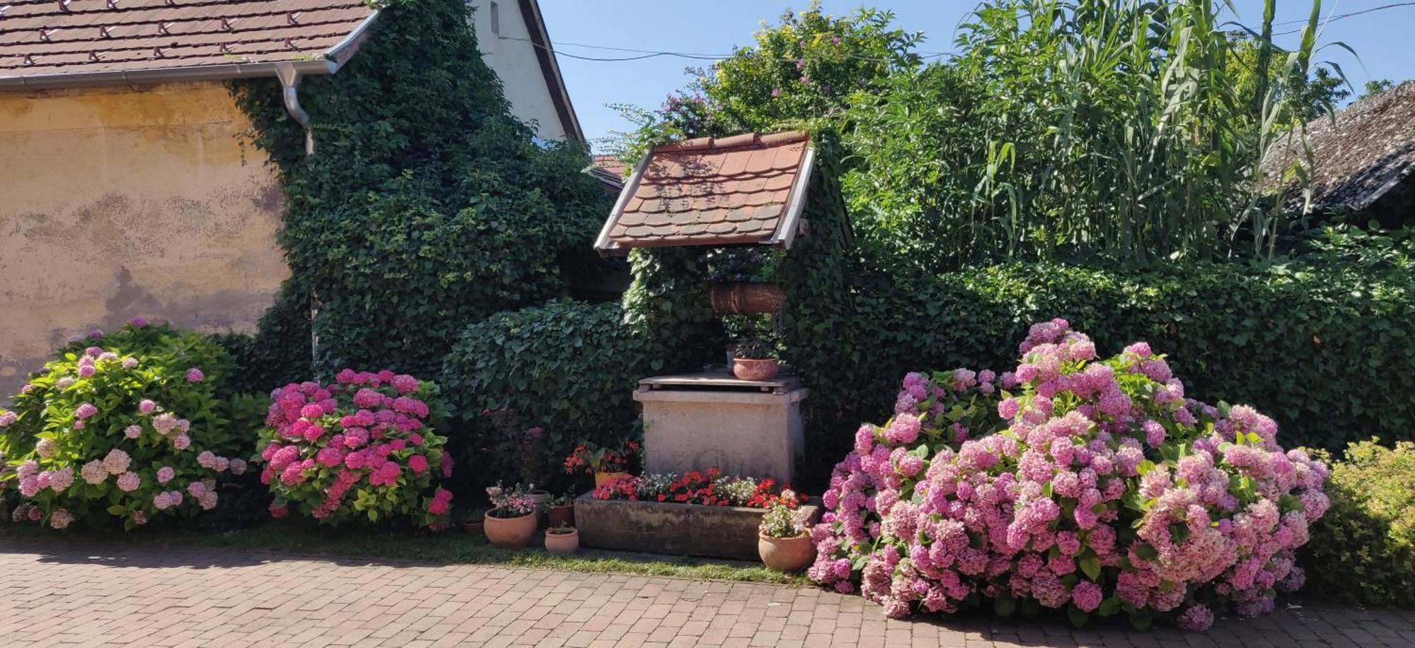Korona Étterem Panzió Panzió Balatonberény Kültér fotó